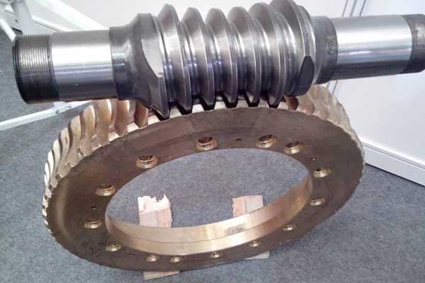 Worm gear