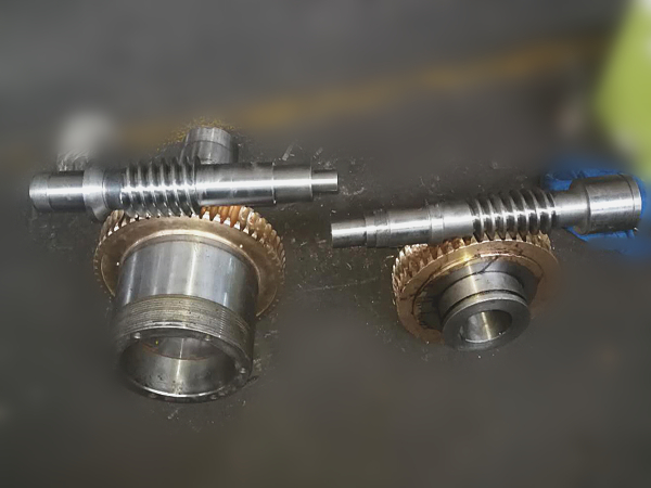 worm shaft and worm gear