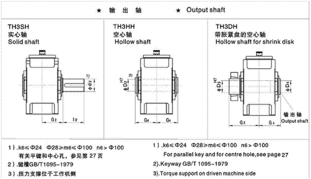 Type:TH3.H parallel shaft reducer
