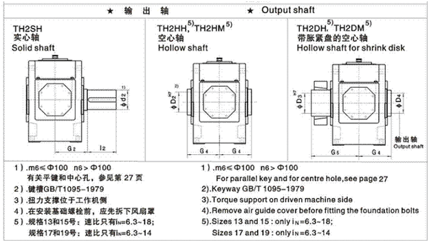 Type: TH2.H、TH2.M parallel shaft reducer