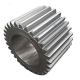 Spur Gears